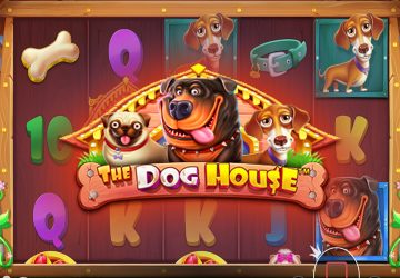 Microgaming - игровой автомат онлайн от Various с RTP 96.16%